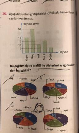 10. Aşağıdaki sütun grafiğinde bir çiftlikteki hayvanların
sayıları verilmiştir.
01 (0
4 Hayvan sayısı
Koyun
38
18
15
10
9
Bu dağılım daire grafiği ile gösterimi aşağıdakiler-
den hangisidir?
60
Tavuk
72 45
Keçi
Ördek
72
52
Keçi
120°
60
Koyun
Ingk
144
Ördek
-Inak
Tavuk
B)
Tavuk İnek
60
-Keçi
72
-Tavuk
60
36
75°
Hayvan
40°
Ördek
Koyun
108
45°
72⁰
Ördek-
İnek
152
- Keçi
Koyun