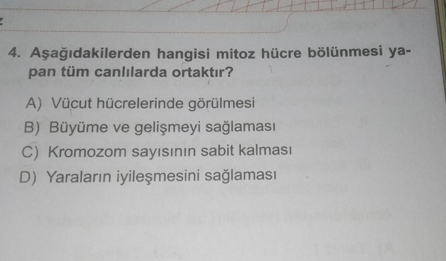 2
4. Aşağıdakilerden hangisi mitoz hücre bölünmesi ya-
pan tüm canlılarda ortaktır?
A) Vücut hücrelerinde görülmesi
B) Büyüme ve gelişmeyi sağlaması
C) Kromozom sayısının sabit kalması
D) Yaraların iyileşmesini sağlaması