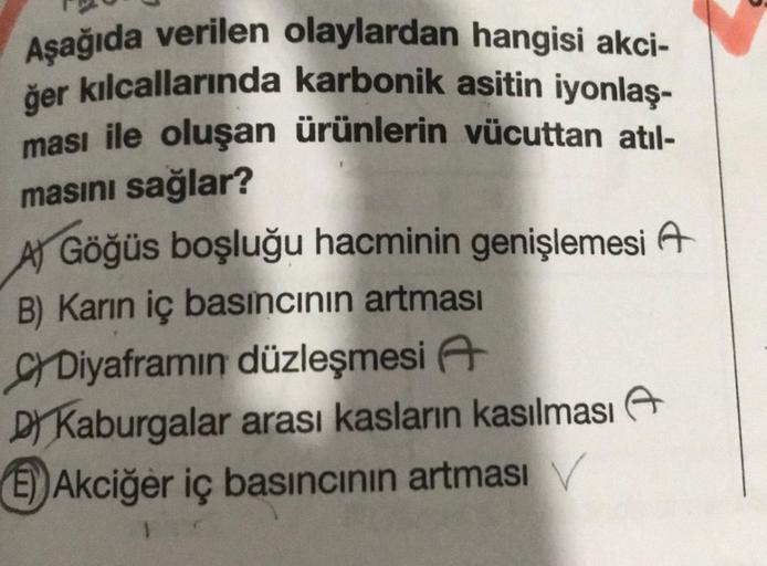 Aşağıda verilen olaylardan hangisi akci-
ğer kılcallarında karbonik asitin iyonlaş-
ması ile oluşan ürünlerin vücuttan atıl-
masını sağlar?
A) Göğüs boşluğu hacminin genişlemesi A
B) Karın iç basıncının artması
CYDiyaframın düzleşmesi A
D) Kaburgalar arası