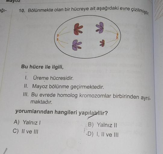 Mayoz
ağı-
10. Bölünmekte olan bir hücreye ait aşağıdaki evre çizilmiştir.
Bu hücre ile ilgili,
1. Üreme hücresidir.
II. Mayoz bölünme geçirmektedir.
III. Bu evrede homolog kromozomlar birbirinden ayrıl-
maktadır.
yorumlarından hangileri yapılabilir?
A) Ya