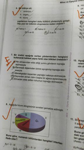 6. Bir bitkiye ait;
1. embriyo
II. organ,
III. hücre
IV
yapılarının hangileri doku kültürü yöntemiyle gelişti-
rilip yeni bir bitkinin oluşmasına neden olabilir?
A) Yalnız I
A)-11-111
DY'Il ve Ill
7. Bir üretici aşağıda verilen yöntemlerden hangisini
kulla