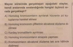 Mayoz sürecinde gerçekleşen aşağıdaki olaylar,
kendi aralarında sıralandığında hangisi üçüncü sı-
rada gerçekleşir?
A) Homolog kromozomların ayrılarak hücrenin zıt ku-
tuplarına hareket etmesi
B) Homolog kromozom çiftlerinin ekvatoral düzleme di-
zilmesi
C) Kardeş kromatitlerin ayrılması
D) Homolog kromozomların sinapsis yapması
E) Kromozomların ekvatoral düzleme tek sıra hâlinde
dizilmesi