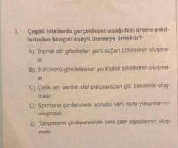 3.
Çeşitli bitkilerde gerçekleşen aşağıdaki üreme şekil-
lerinden hangisi eşeyli üremeye örnektir?
A) Toprak altı gövdeden yeni soğan bitkilerinin oluşma-
SI
B) Sürünücü gövdelerden yeni çilek bitkilerinin oluşma-
SI
C) Çelik adı verilen dal parçasından gül bitkisinin oluş-
masi
D) Sporların çimlenmesi sonucu yeni kara yosunlarının
oluşması
E) Tohumlanın çimlenmesiyle yeni çam ağaçlarının oluş-
masi