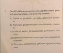 3.
Çeşitli bitkilerde gerçekleşen aşağıdaki üreme şekil-
lerinden hangisi eşeyli üremeye örnektir?
A) Toprak altı gövdeden yeni soğan bitkilerinin oluşma-
SI
B) Sürünücü gövdelerden yeni çilek bitkilerinin oluşma-
SI
C) Çelik adı verilen dal parçasından gül bitkisinin oluş-
masi
D) Sporların çimlenmesi sonucu yeni kara yosunlarının
oluşması
E) Tohumlanın çimlenmesiyle yeni çam ağaçlarının oluş-
masi