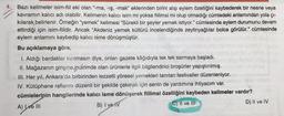 Bazı kelimeler isim-fiil eki olan "-ma, -iş, -mak" eklerinden birini alıp eylem özelliğini kaybederek bir nesne veya
kavramın kalıcı adı olabilir. Kelimenin kalıcı isim mi yoksa fiilimsi mi olup olmadığı cümledeki anlamından yola çı-
kılarak belirlenir. Örneğin "yemek" kelimesi "Sürekli bir şeyler yemek istiyor." cümlesinde eylem durumunu devam
ettirdiği için isim-fiildir. Ancak "Akdeniz yemek kültürü incelendiğinde zeytinyağlılar bolca görülür." cümlesinde
eylem anlamını kaybedip kalıcı isme dönüşmüştür.
Bu açıklamaya göre,
I. Aldığı bardaklar kırılmasın diye, onları gazete kâğıdıyla tek tek sarmaya başladı.
II. Mağazanın girişine indirimde olan ürünlerle ilgili bilgilendirici broşürler yapıştırılmış.
III. Her yıl, Ankara'da birbirinden lezzetli yöresel yemekleri tanıtan festivaller düzenleniyor.
IV. Kütüphane raflarını düzenli bir şekilde çakmak için senin de yardımına ihtiyacım var.
cümlelerinin hangilerinde kalıcı isme dönüşerek fiilimsi özelliğini kaybeden kelimeler vardır?
D) II ve IV
A) Ive III
B) I ve IV
C) II ve III