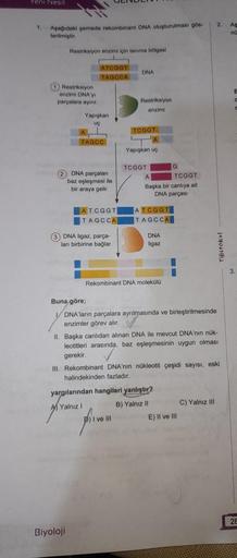 Yeni Nesil
1. Aşağıdaki pomada rekombinant DNA oluşturulması gös
terilmiştir.
Restrikslyon enzimi için tanıma bölgesi
(1) Restriksiyon
enzimi DNA'yi
parçalara ayınt.
ATCOOT
TAGOCA
Yapışkan
uç
A
TAGCC
2 DNA parçalanı
baz eşleşmesi ile
bir araya gelir.
ATCGG