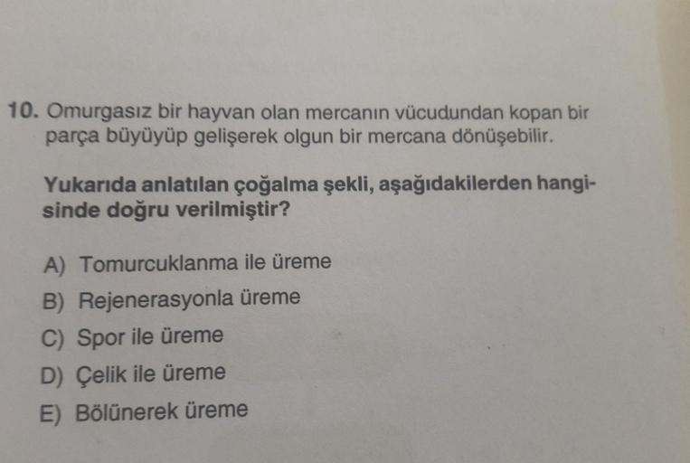 10. Omurgasız bir hayvan olan mercanın vücudundan kopan bir
parça büyüyüp gelişerek olgun bir mercana dönüşebilir.
Yukarıda anlatılan çoğalma şekli, aşağıdakilerden hangi-
sinde doğru verilmiştir?
A) Tomurcuklanma ile üreme
B) Rejenerasyonla üreme
C) Spor 