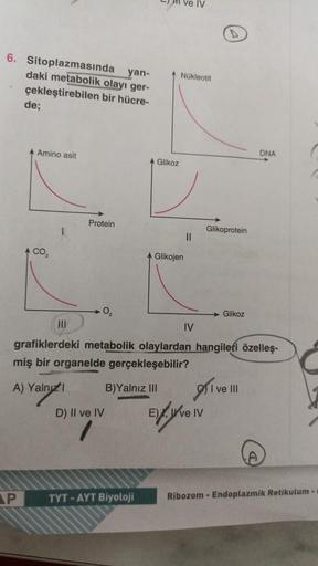 yan-
6. Sitoplazmasında
daki metabolik olayı ger-
bir hücre-
çekleştirebilen
de;
P
A Amino asit
4 CO₂
Protein
0₂
D) II ve IV
Glikoz
B)Yalnız III
TYT-AYT Biyoloji
Nükleotit
Glikojen
||
III
grafiklerdeki metabolik olaylardan hangileri özelleş-
miş bir organe