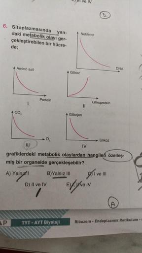 yan-
6. Sitoplazmasında
daki metabolik olayı ger-
bir hücre-
çekleştirebilen
de;
P
A Amino asit
4 CO₂
Protein
0₂
D) II ve IV
Glikoz
B)Yalnız III
TYT-AYT Biyoloji
Nükleotit
Glikojen
||
III
grafiklerdeki metabolik olaylardan hangileri özelleş-
miş bir organe