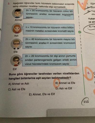 3.
Aşağıdaki öğrenciler farklı hücrelerin bölünmeleri sırasında
sahip oldukları nicelikler hakkında bilgi vermektedir.
2n = 20 kromozomlu bir hücrenin mitoz bö-
lünmesinin anafaz evresindeki kromozom
sayısı
Ahmet
Aslı
Efe
n = 10 kromozomlu bir hücrenin mit