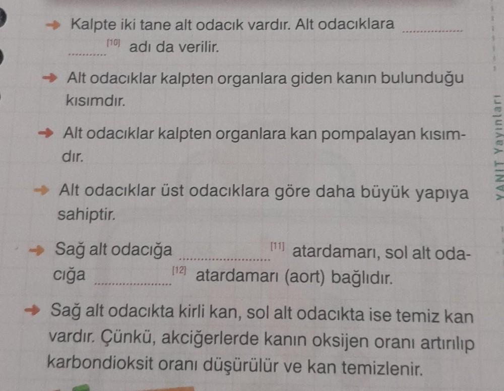 → Kalpte iki tane alt odacık vardır. Alt odacıklara
[10) adı da verilir.
➜ Alt odacıklar kalpten organlara giden kanın bulunduğu
kısımdır.
➜ Alt odacıklar kalpten organlara kan pompalayan kısım-
dır.
Alt odacıklar üst odacıklara göre daha büyük yapıya
sahi