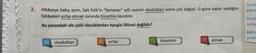 2.
Hikâyeye bakış açım, Sait Faik'in "Semaver" adlı eserini okuduktan sonra çok değişti. O güne kadar yazdığım
hikâyeleri yırtıp atmak zorunda hissettim kendimi.
Bu parçadaki altı çizili sözcüklerden hangisi fiilimsi değildir?
A)
okuduktan
B) yırtıp
hissettim
D) atmak
Çocuk
giderd
Bu ask
lercesi
Belli bi
ye kad