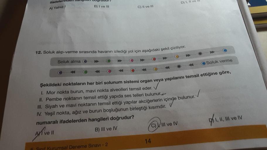 ifadele
A) Yalnız I
B) I ve III
C) II ve III
12. Soluk alıp-verme sırasında havanın izlediği yol için aşağıdaki şekil çiziliyor.
Soluk alma
6. Sınıf Kurumsal Deneme Sınavı - 2
D) I, II v
Şekildeki noktaların her biri solunum sistemi organ veya yapılarını t
