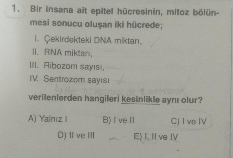 1. Bir insana ait epitel hücresinin, mitoz bölün-
mesi sonucu oluşan iki hücrede;
1. Çekirdekteki DNA miktarı,
II. RNA miktarı,
III. Ribozom sayısı,
IV. Sentrozom sayısı
Ly ther
4 selfrozom
verilenlerden hangileri kesinlikle aynı olur?
A) Yalnız I
D) II ve