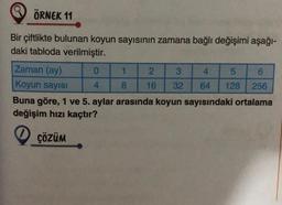 ÖRNEK 11
Bir çiftlikte bulunan koyun sayısının zamana bağlı değişimi aşağı-
daki tabloda verilmiştir.
Zaman (ay)
Koyun sayısı
0
4
1
8
2
3
4
5
6
16 32 64 128 256
Buna göre, 1 ve 5. aylar arasında koyun sayısındaki ortalama
değişim hızı kaçtır?
ÇÖZÜM