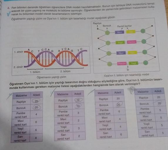 4. Fen bilimleri dersinde öğretmen öğrencilere DNA modeli hazırlatmaktadır. Bunun için tahtaya DNA molekülünü temsil
edecek bir çizim yapmış ve molekülü iki bölüme ayırmıştır. Öğrencilerden de yanlarında getirdikleri malzemeleri kulla-
narak bu bölümleri m