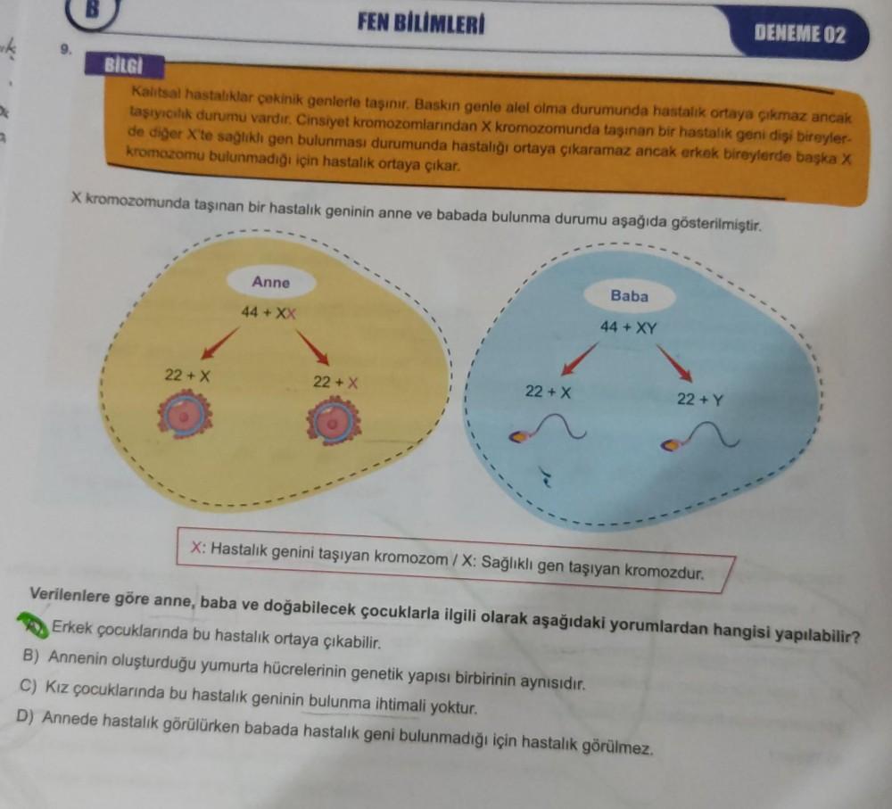 B
FEN BİLİMLERİ
BİLGİ
Kalıtsal hastalıklar çekinik genlerle taşınır. Baskın genle alel olma durumunda hastalık ortaya çıkmaz ancak
taşıyıcılık durumu vardır. Cinsiyet kromozomlarından X kromozomunda taşınan bir hastalık geni dişi bireyler-
de diğer X'te sa