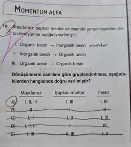 MOMENTUM ALFA
19. Maydanoz, şapkalı mantar ve insanda gerçekleşebilen ba-
zı dönüşümler aşağıda verilmiştir.
X. Organik besin → İnorganik besin manter
II. İnorganik besin → Organik besin
III. Organik besin → Organik besin
Dönüşümlerin canlılara göre gruplandırılması, aşağıda-
in canlılara göre gruplandı
kilerden hangisinde doğru verilmiştir?
Şapkalı mantar
I, III
Maydanoz
AV
I, II, III
B)
#
_-_G) +₁||
D), H, 1
EH
İnsan
I, III
HHH
1. II