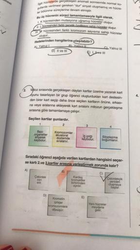 nesi
V
ligi hücrelerde gerçekleşen anomali sonrasında normal ko-
şullarda verilmesi gereken "dur" sinyali oluşmamış ve hücre-
ler bölünme süreçlerine devam etmiştir.
Bu üç hücrenin süreci tamamlamasıyla ilgili olarak,
LK hücresinden mutasyona uğramış hücre