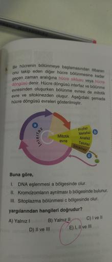 Bir hücrenin bölünmeye başlamasından itibaren
onu takip eden diğer hücre bölünmesine kadar
geçen zaman aralığına hücre siklusu veya hücre
döngüsü denir. Hücre döngüsü interfaz ve bölünme
evresinden oluşurken bölünme evresi de mitotik
evre ve sitokinezden o