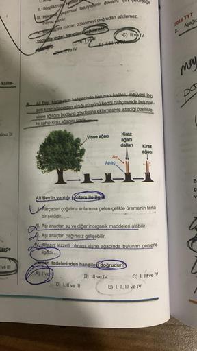 kalite-
alnız III
lerde
ve Ill
II. Sitoplazmag kesile
III. Hücade yaşamsal faaliyetlerin devami
ihtiyaç vardır.
Siopazma miktarı bölünmeyi doğrudan etkilemez.
yorumlarından hangilerivapilamar
5) Ive All
SIV
-
5)
Ali Bey, komsunun bahçesinde bulunan kalitel