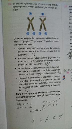 26. Bir biyoloji öğretmeni, bir hücrenin sahip olduğu
homolog kromozomları aşağıdaki gibi tahtaya çiz-
miştir.
●
XX
2
3
Daha sonra öğrencilerinden aşağıdaki ifadeleri sı-
rasıyla doğruysa "D", yanlışsa "Y" şeklinde işaret-
lemelerini istemiştir.
●
1
Hücren