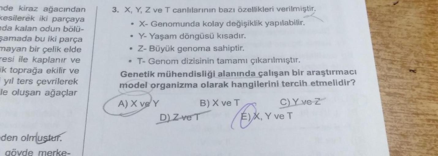 nde kiraz ağacından
kesilerek iki parçaya
ada kalan odun bölü-
şamada bu iki parça
mayan bir çelik elde
resi ile kaplanır ve
ik toprağa ekilir ve
yıl ters çevrilerek
le oluşan ağaçlar
den olmuştur.
gövde merke-
3. X, Y, Z ve T canlılarının bazı özellikleri