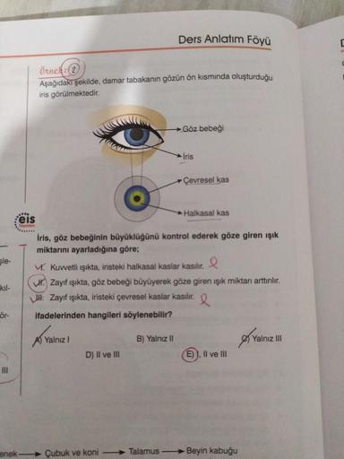 sle-
kıl-
ör-
III
....
Feis
T
enek-
Örnek: (2)
Aşağıdaki şekilde, damar tabakanın gözün ön kısmında oluşturduğu
iris görülmektedir.
D) II ve III
Çubuk ve koni
Ders Anlatım Föyü
→Göz bebeği
B) Yalnız II
Talamus
iris, göz bebeğinin büyüklüğünü kontrol ederek