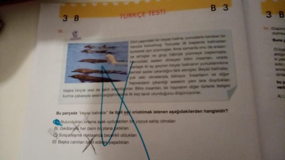 3 B
TÜRKÇE TESTİ
B3
Dont yapındaki bir beyaz balina, yunuslarla beraber bir
havuza konulmuş Yunuslar ik başlarda balinadan
ayn yüzmüşler. Ama zamanla onu da aralan-
almar ve grup halinde yüzmeye başlamışlar
dinleyen bilim insanian, orada
ay geçiren beyaz b