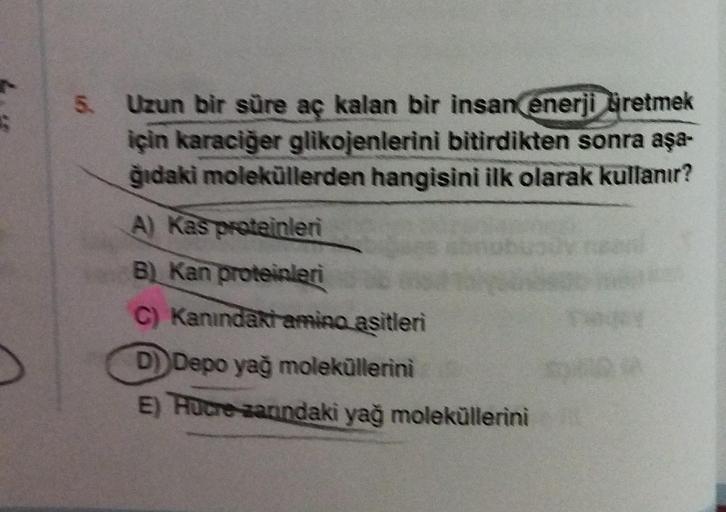 5. Uzun bir süre aç kalan bir insan enerji üretmek
için karaciğer glikojenlerini bitirdikten sonra aşa-
ğıdaki moleküllerden hangisini ilk olarak kullanır?
A) Kas proteinleri
B) Kan proteinleri
C) Kanındaki amino asitleri
D) Depo yağ moleküllerini
E) Hucre