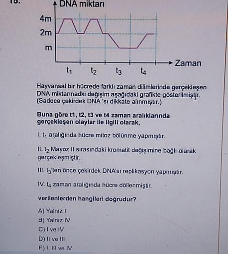 6
4m
2m
m
DNA miktarı
V
t₁
12 13
Hayvansal bir hücrede farklı zaman dilimlerinde gerçekleşen
DNA miktarınadki değişim aşağıdaki grafikte gösterilmiştir.
(Sadece çekirdek DNA 'sı dikkate alınmıştır.)
► Zaman
14
Buna göre 11, 12, 13 ve t4 zaman aralıklarında