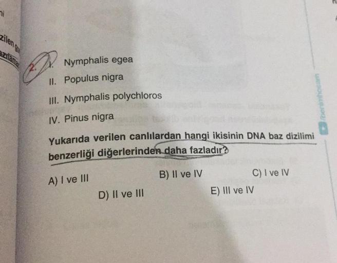 Nymphalis egea
II. Populus nigra
III. Nymphalis polychloros
IV. Pinus nigra
Yukarıda verilen canlılardan hangi ikisinin DNA baz dizilimi
benzerliği diğerlerinden daha fazladır?
A) I ve III
B) II ve IV
D) II ve III
C) I ve IV
E) III ve IV
bensmhocam