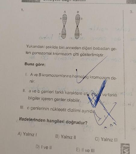 Yukarıdaki şekilde biri anneden diğeri babadan ge-
len gonozomal kromozom çifti gösterilmiştir.
BRINGE
A
B
a
b
11
Buna göre;
1. A ve B kromozomlarına homolog kromozgm de-
nir.
A) Yalnız !
II. a ve b genieri farklı karaktere etki ve farklı
bilgiler içeren g