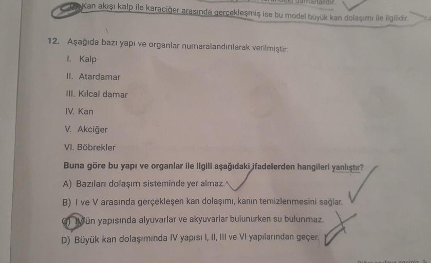rlardır.
Kan akışı kalp ile karaciğer arasında gerçekleşmiş ise bu model büyük kan dolaşımı ile ilgilidir.
12. Aşağıda bazı yapı ve organlar numaralandırılarak verilmiştir:
I. Kalp
II. Atardamar
III. Kılcal damar
IV. Kan
V. Akciğer
VI. Böbrekler
Buna göre