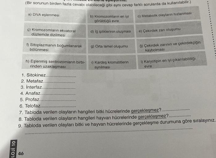 LOJI 10
(Bir sorunun birden fazla cevabı olabileceği gibi aynı cevap farklı sorularda da kullanılabilir.)
c) Metabolik olayların hızlanması
46
a) DNA eşlenmesi
ç) Kromozomların ekvatoral
düzlemde dizilmesi
f) Sitoplazmanın boğumlanarak
bölünmesi
h) Eşlenmi