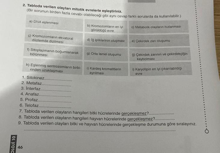 OL 010
2. Tabloda verilen olayları mitotik evrelerle eşleştiriniz.
(Bir sorunun birden fazla cevabı olabileceği gibi aynı cevap farklı sorularda da kullanılabilir.)
a) DNA eşlenmesi
c) Metabolik olayların hızlanması
46
ç) Kromozomların ekvatoral
düzlemde d