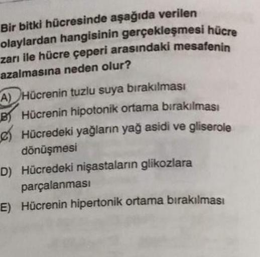 Bir bitki hücresinde aşağıda verilen
olaylardan hangisinin gerçekleşmesi hücre
zarı ile hücre çeperi arasındaki mesafenin
azalmasına neden olur?
A) Hücrenin tuzlu suya bırakılması
BHücrenin hipotonik ortama bırakılması
Hücredeki yağların yağ asidi ve glise