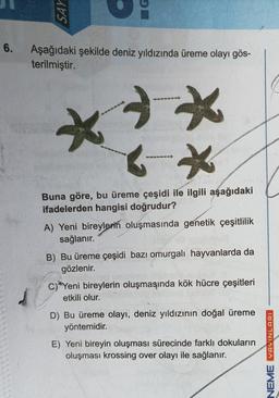 6.
SAY
G
Aşağıdaki şekilde deniz yıldızında üreme olayı gös-
terilmiştir.
*
*
Buna göre, bu üreme çeşidi ile ilgili aşağıdaki
ifadelerden hangisi doğrudur?
H
A) Yeni bireylerin oluşmasında genetik çeşitlilik
sağlanır.
B) Bu üreme çeşidi bazı omurgalı hayvanlarda da
gözlenir.
C) Yeni bireylerin oluşmasında kök hücre çeşitleri
etkili olur.
D) Bu üreme olayı, deniz yıldızının doğal üreme
yöntemidir.
E) Yeni bireyin oluşması sürecinde farklı dokuların
oluşması krossing over olayı ile sağlanır.
NEME YAYINLARI