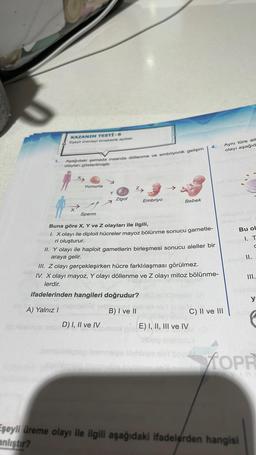 1.
KAZANIM TESTİ-6
Eşeyli Gremeyi örneklerle açiklar.
Aşağıdaki şemada insanda döllenme ve embriyonik gelişim
olayları gösterilmiştir.
X
Yumurta
Y
7
D) I, II ve IV
Zigot
zy
Embriyo
Bebek
Sperm
Buna göre X, Y ve Z olayları ile ilgili,
I. X olayı ile diploit hücreler mayoz bölünme sonucu gametle-
ri oluşturur.
itement
B) I ve II
movi
4.
II. Y olayı ile haploit gametlerin birleşmesi sonucu aleller bir
araya gelir.
III. Z olayı gerçekleşirken hücre farklılaşması görülmez.
IV. X olayı mayoz, Y olayı döllenme ve Z olayı mitoz bölünme-
lerdir.
ifadelerinden hangileri doğrudur?
A) Yalnız I
E) I, II, III ve IV
Mat
Aynı türe ait
olayı aşağıd
-abvem n97
C) II ve III
Bu ol
osies. T
C
Gisle II.
III.
heisile
y:
TOPR
In
Eşeyli üreme olayı ile ilgili aşağıdaki ifadelerden hangisi
anlıştır?