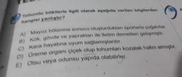 Tohumlu bitkilerle ilgili olarak aşağıda verilen bilgilerden
hangisi yanlıştır?
A) Mayoz bölünme sonucu oluşturdukları sporlarla çoğalırlar.
a) kök, gövde ve yaprakları ile iletim demetleri gelişmiştir.
C) Kara hayatına uyum sağlamışlardır.
D) Üreme organı çiçek olup tohumları kozalak halini almıştır.
E) Otsu veya odunsu yapıda olabilirler.
A