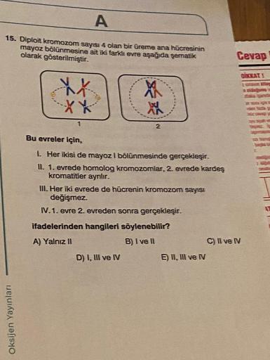 A
15. Diploit kromozom sayısı 4 olan bir üreme ana hücresinin
mayoz bölünmesine ait iki farklı evre aşağıda şematik
olarak gösterilmiştir.
Oksijen Yayınları
XX
***
1
XX
XXX
Bu evreler için,
1. Her ikisi de mayoz I bölünmesinde gerçekleşir.
II. 1. evrede ho