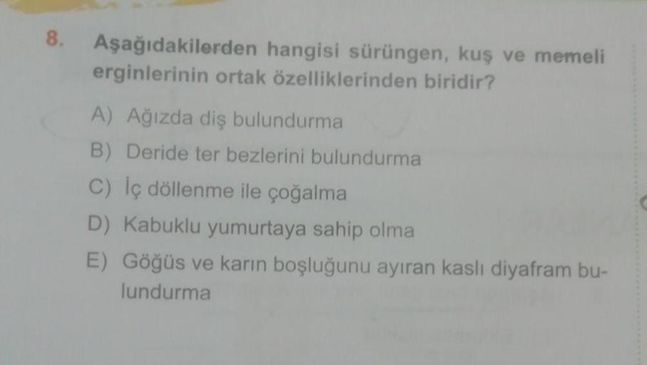 8. Aşağıdakilerden hangisi sürüngen, kuş ve memeli
erginlerinin ortak özelliklerinden biridir?
A) Ağızda diş bulundurma
B) Deride ter bezlerini bulundurma
C) Iç döllenme ile çoğalma
D) Kabuklu yumurtaya sahip olma
E) Göğüs ve karın boşluğunu ayıran kaslı d