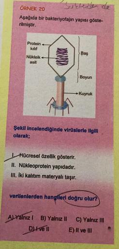 ÖRNEK 20
Aşağıda bir
rilmiştir.
Protein
kılıf
Nükleik
asit
Silleder de
bakteriyofajın yapısı göste-
IHücresel özellik gösterir.
II. Nükleoprotein yapıdadır.
III. İki kalıtım materyalı taşır.
Baş
Boyun
Şekil incelendiğinde virüslerle ilgili
olarak;
ALYalnız