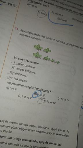 angisi gözlen-
tışa neden olur?
A) Yalnız I
yeni bireyi oluştur
kuyruğunun yeniden oluşma
hangileri rejenerasyon ile birey sayıs
D) I ve I
Bu süreç içerisinde;
1. mitoz bölünme,
mayoz bölünme,
döllenme,
IV. farklılaşma
D) I, II ve III
B) Yalnız II
11. Aşağ