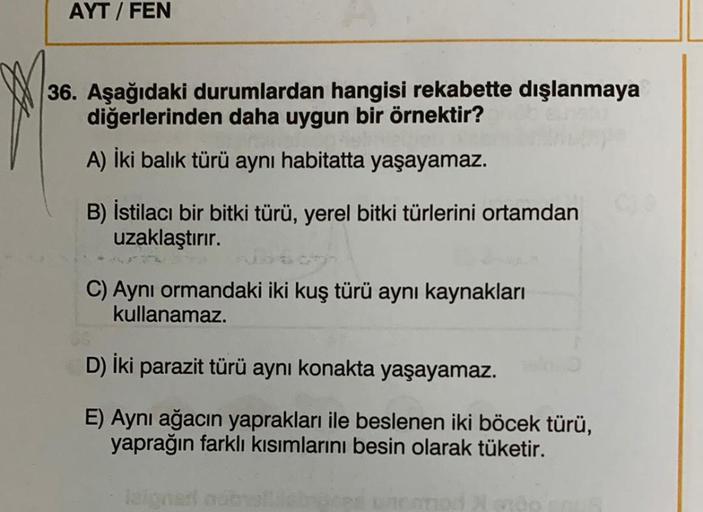 AYT / FEN
36. Aşağıdaki durumlardan hangisi rekabette dışlanmaya
diğerlerinden daha uygun bir örnektir?
A) İki balık türü aynı habitatta yaşayamaz.
B) İstilacı bir bitki türü, yerel bitki türlerini ortamdan
uzaklaştırır.
C) Aynı ormandaki iki kuş türü aynı