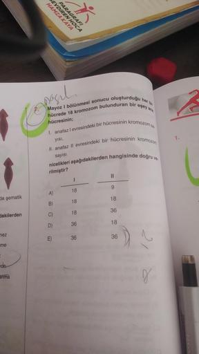 da şematik
dakilerden
nez
me
on
anma
HAMZA KAYA
SEVDIREN HOCA
PARAGRAFI
X
Basil.
oluşturduğu
Mayoz I bölünmesi sonucu
hücrede 18 kromozom bulunduran bir
hücresinin;
I. anafaz I evresindeki bir hücresinin kromozom sa
yısı,
II. anafaz II evresindeki bir hücr