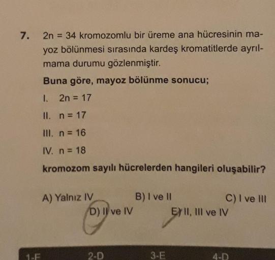 7.
1-E
2n = 34 kromozomlu bir üreme ana hücresinin ma-
yoz bölünmesi sırasında kardeş kromatitlerde ayrıl-
mama durumu gözlenmiştir.
Buna göre, mayoz bölünme sonucu;
1. 2n = 17
II. n = 17
III. n = 16
IV. n = 18
kromozom sayılı hücrelerden hangileri oluşabi