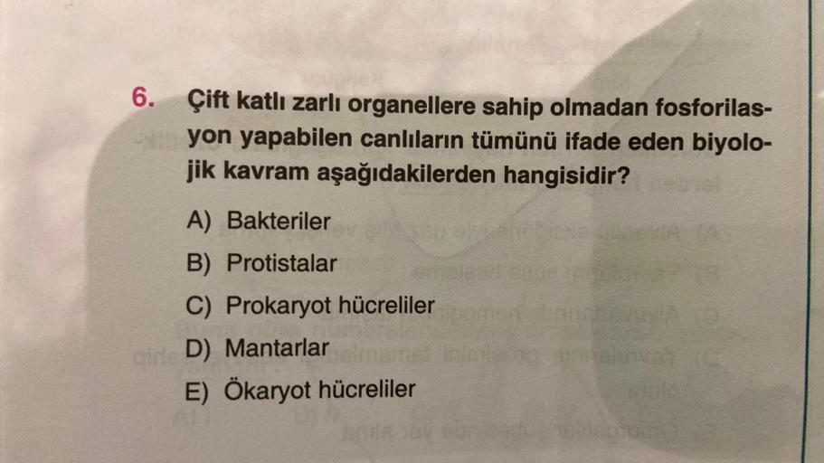 6. Çift katlı zarlı organellere sahip olmadan fosforilas-
Syon yapabilen canlıların tümünü ifade eden biyolo-
jik kavram aşağıdakilerden hangisidir?
A) Bakteriler
B) Protistalar
C) Prokaryot hücreliler
girle D) Mantarlar
E) Ökaryot hücreliler