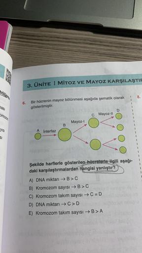 bölünme
ması
omozom
yısı
SI
3. ÜNİTE I MITOZ VE MAYOZ KARŞILAŞTIF
6. Bir hücrenin mayoz bölünmesi aşağıda şematik olarak
gösterilmiştir.
A interfaz
MB
Mayoz-l
C Mayoz-II
CERT
Şekilde harflerle gösterilen hücrelerle ilgili aşağı-
daki karşılaştırmalardan ha