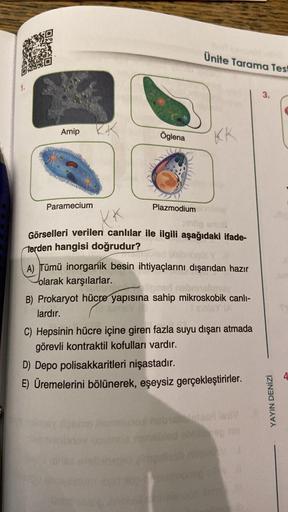 Amip
Paramecium
KK
Öglena
Plazmodium
Ünite Tarama Test
KK
og snut
Görselleri verilen canlılar ile ilgili aşağıdaki ifade-
terden hangisi doğrudur?
A) Tümü inorganik besin ihtiyaçlarını dışarıdan hazır
olarak karşılarlar.
B) Prokaryot hücre yapısına sahip m